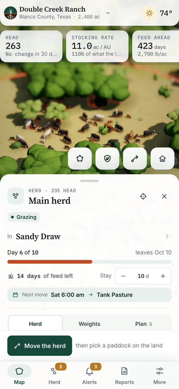 Phone screen: the main herd card, with head count by class and gain a day