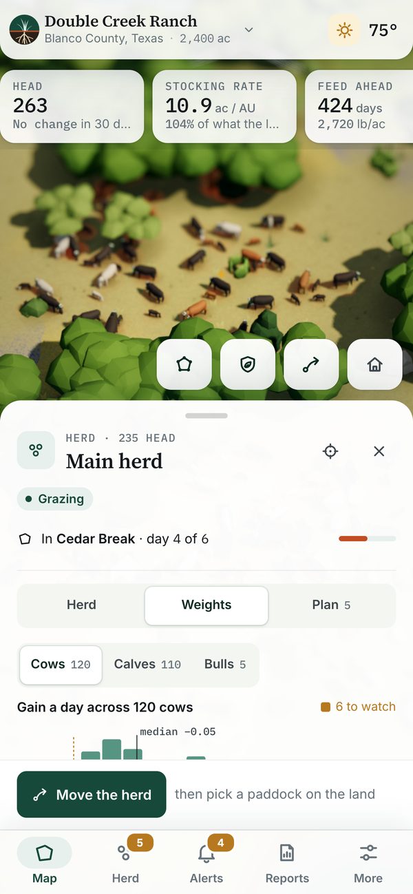 Phone screen: herd weights from the walk-over scale, with slow gainers flagged