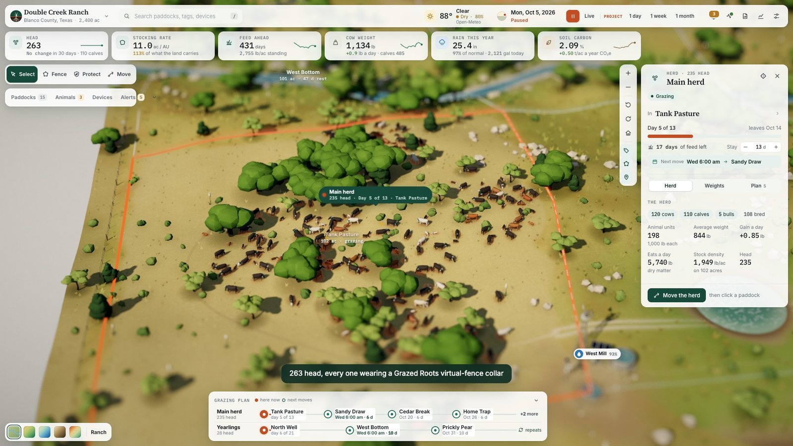The main herd loose on open range near West Mill, with the herd card showing 220 cows, 193 calves, 9 bulls and 202 bred