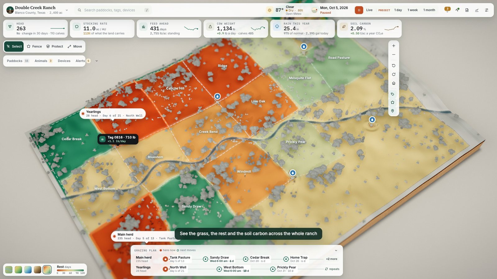The whole ranch recoloured by standing forage, from short grazed paddocks to tall rested grass